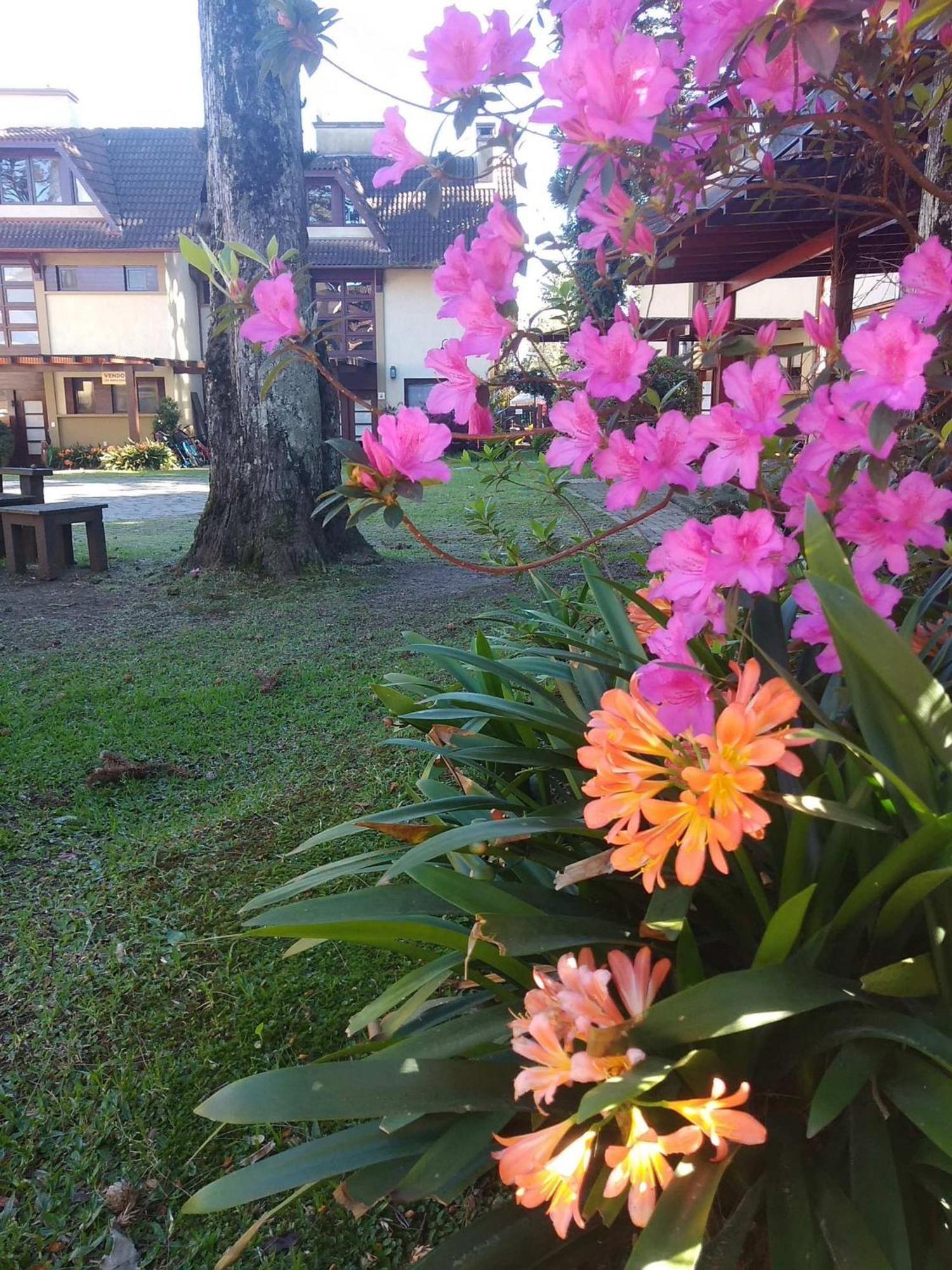 Estacao Das Hortensias, Seu Aconchego Em Gramado Apartman Kültér fotó